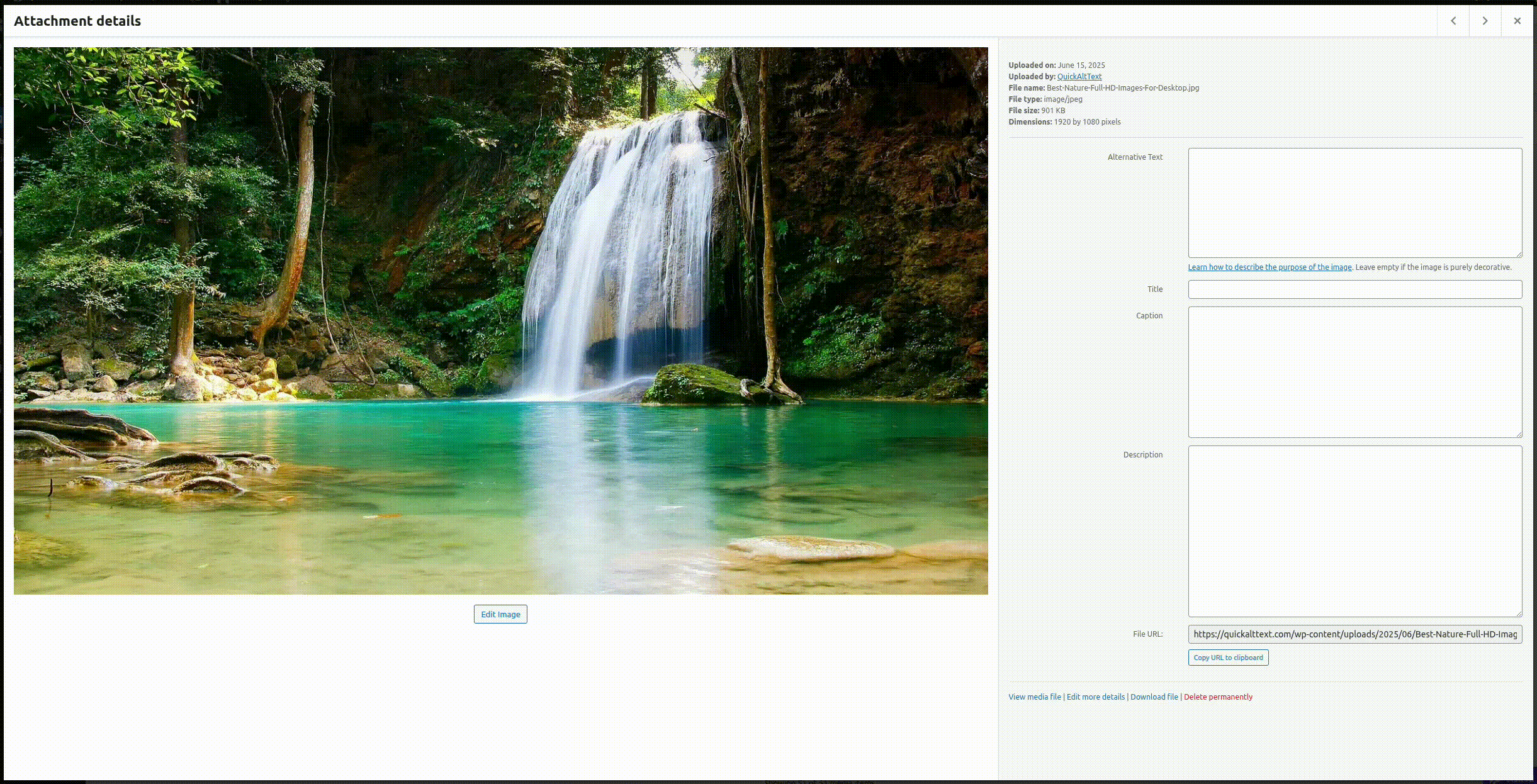 QuickAltText automatically applying alt text and other fields in WordPress