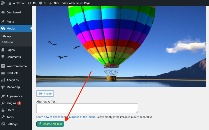 WordPress media library interface showing rainbow-colored hot air balloon image with alternative text field below